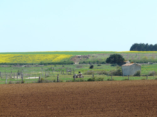 Pour faire l' achat d'une maison sur Sainte Hermine contactez Chantimo