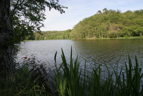 Achat appartement à Sainte Hermine